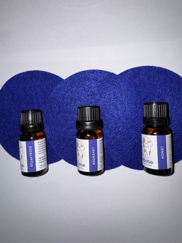Aromatherapy Bundle: 3 plus 3
