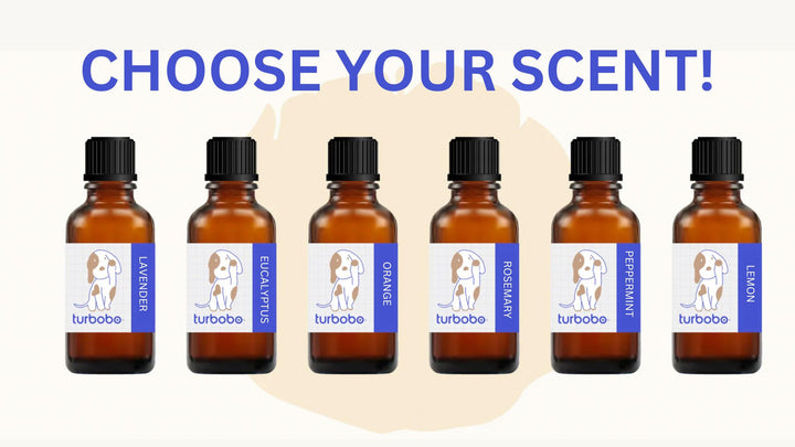Essential Oil