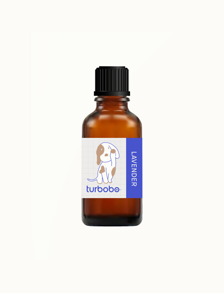 Essential Oil