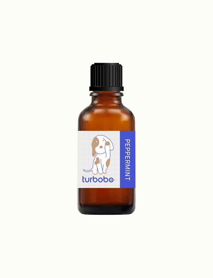 Essential Oil